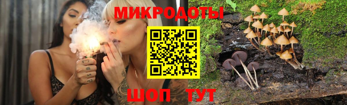 Галлюциногенные грибы Psilocybine cubensis  Галлюциногенные грибы мухоморы  Азов  Вход с VPN 